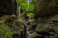 /album/galerie-photos/jutgd-jpg/